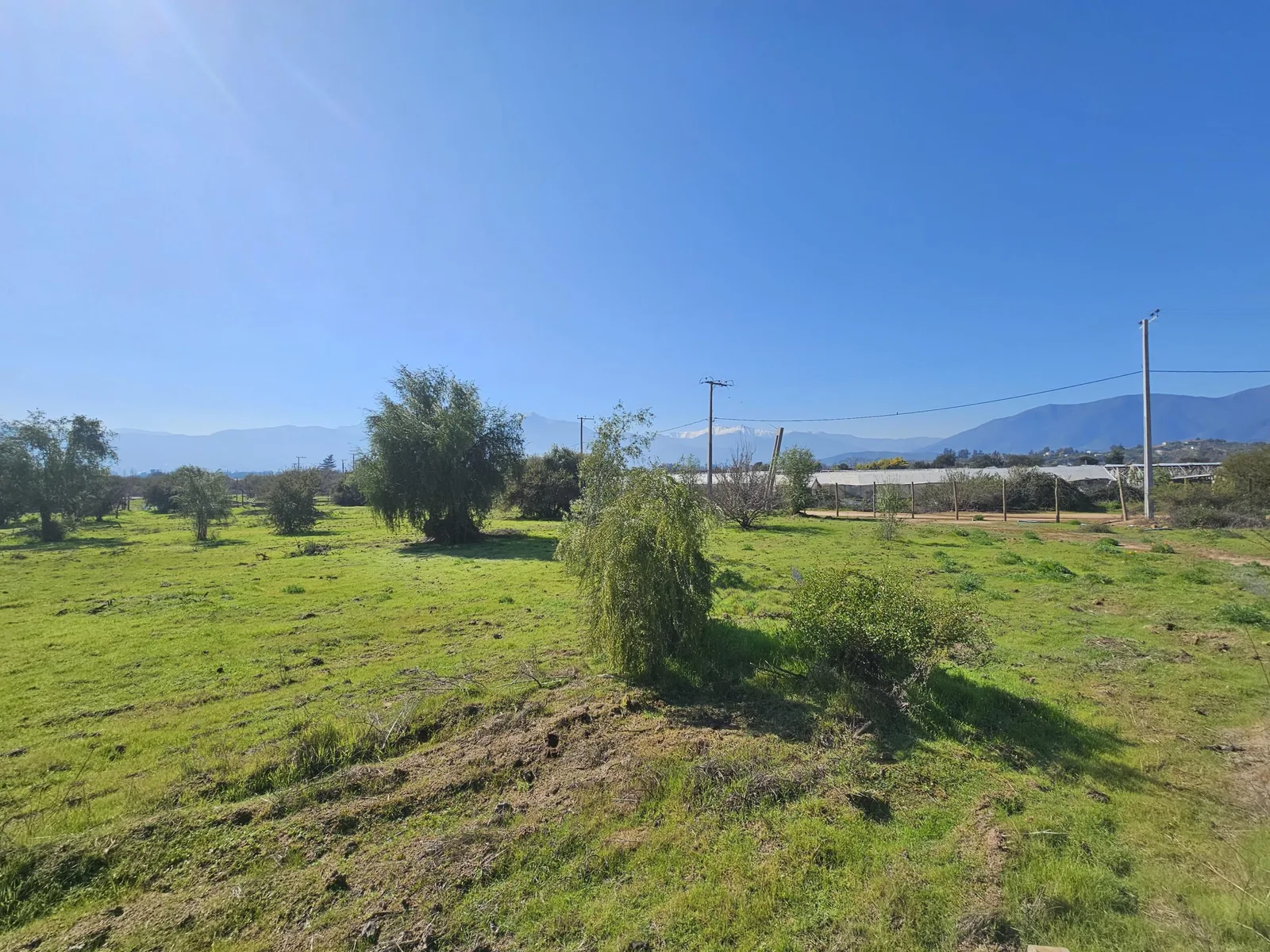 Vendo terrenos de 5000m2 en Campo Koyam Limache. - foto 6