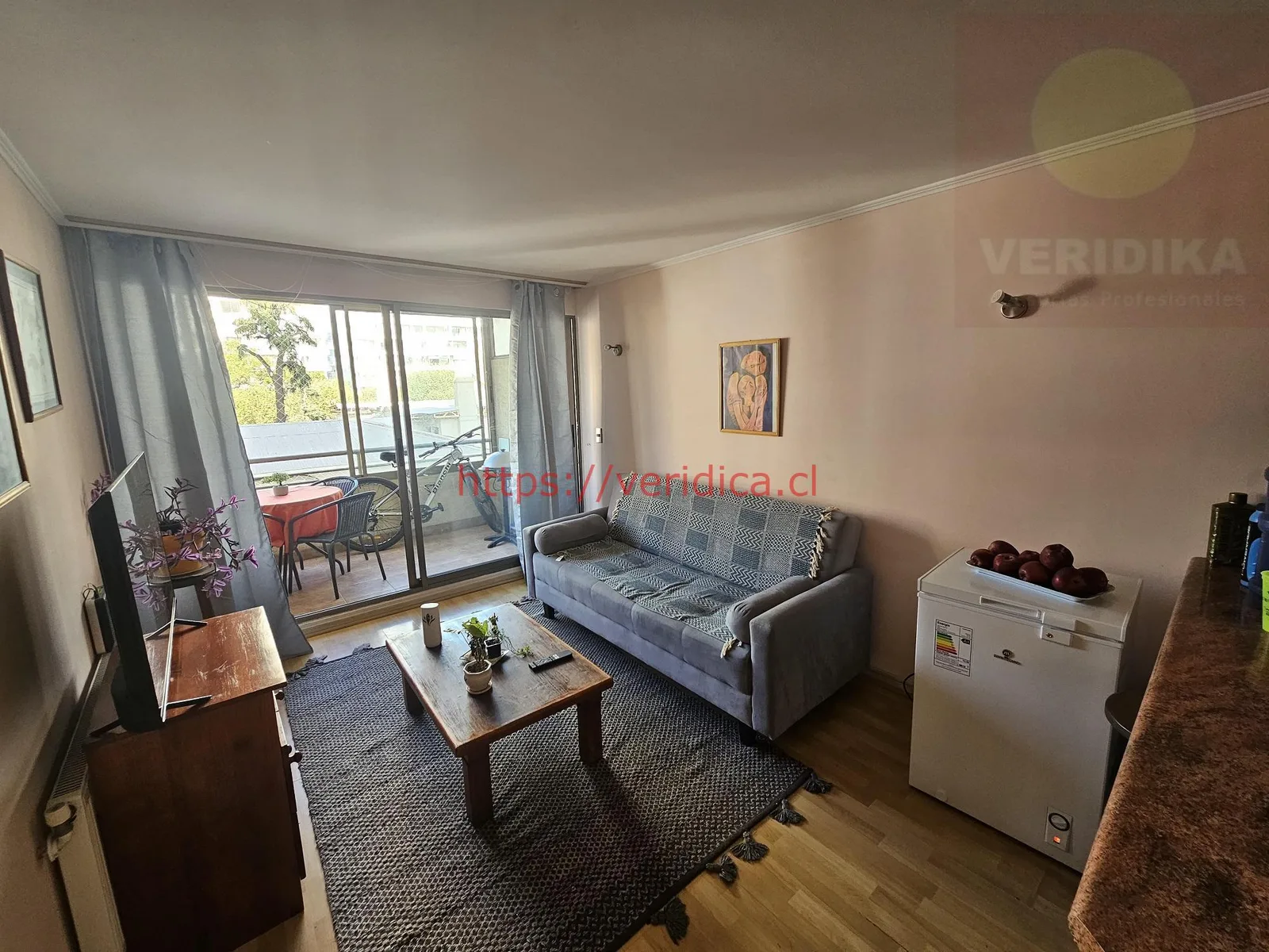 Vendo departamento en plan de Viña, calle Alvarez - foto 4