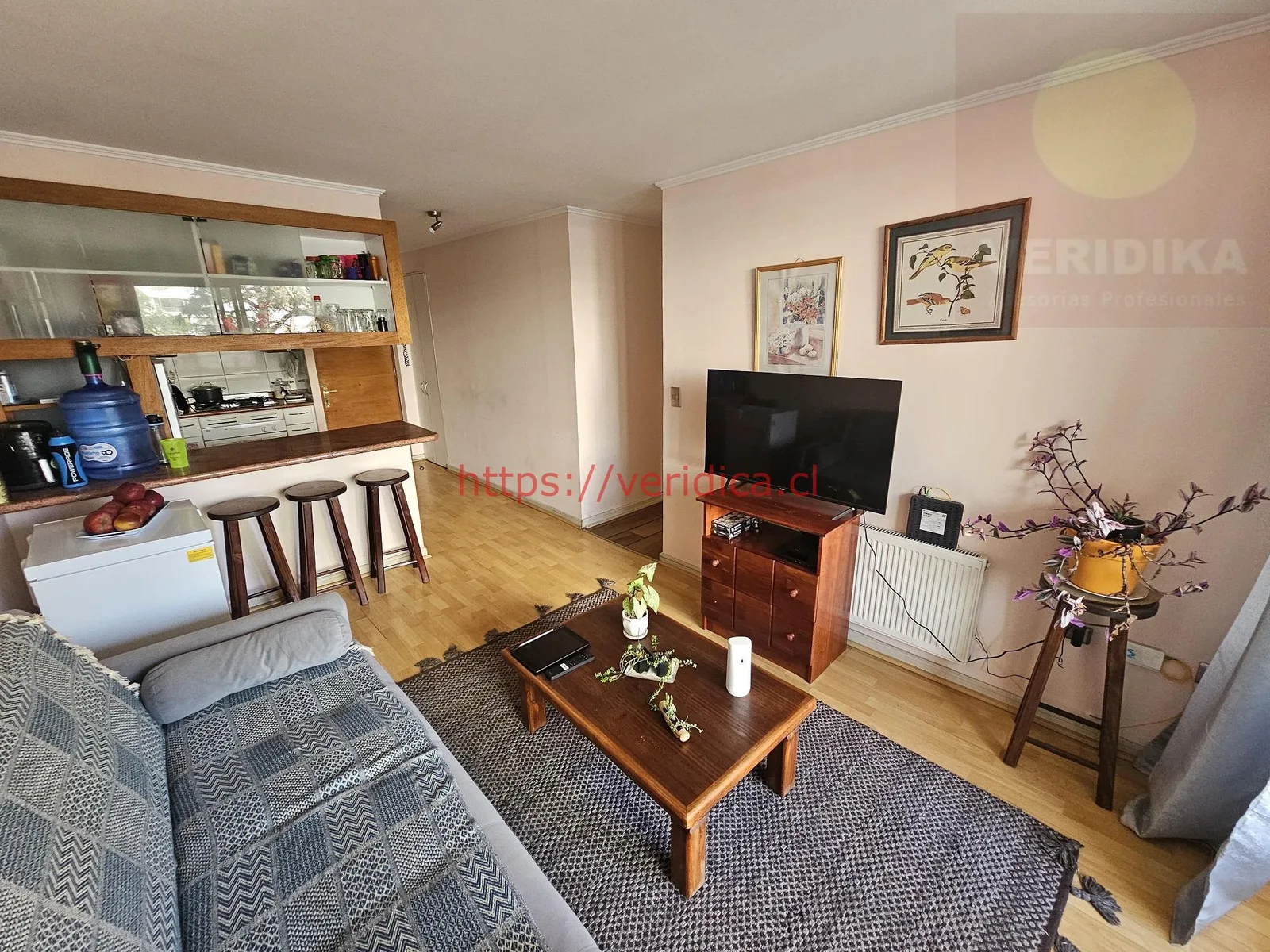 Vendo departamento en plan de Viña, calle Alvarez - foto 5
