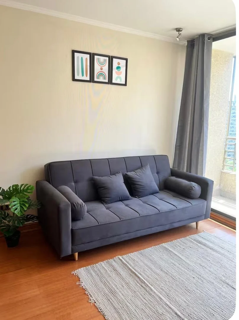 Departamento Amoblado en Providencia - foto 2