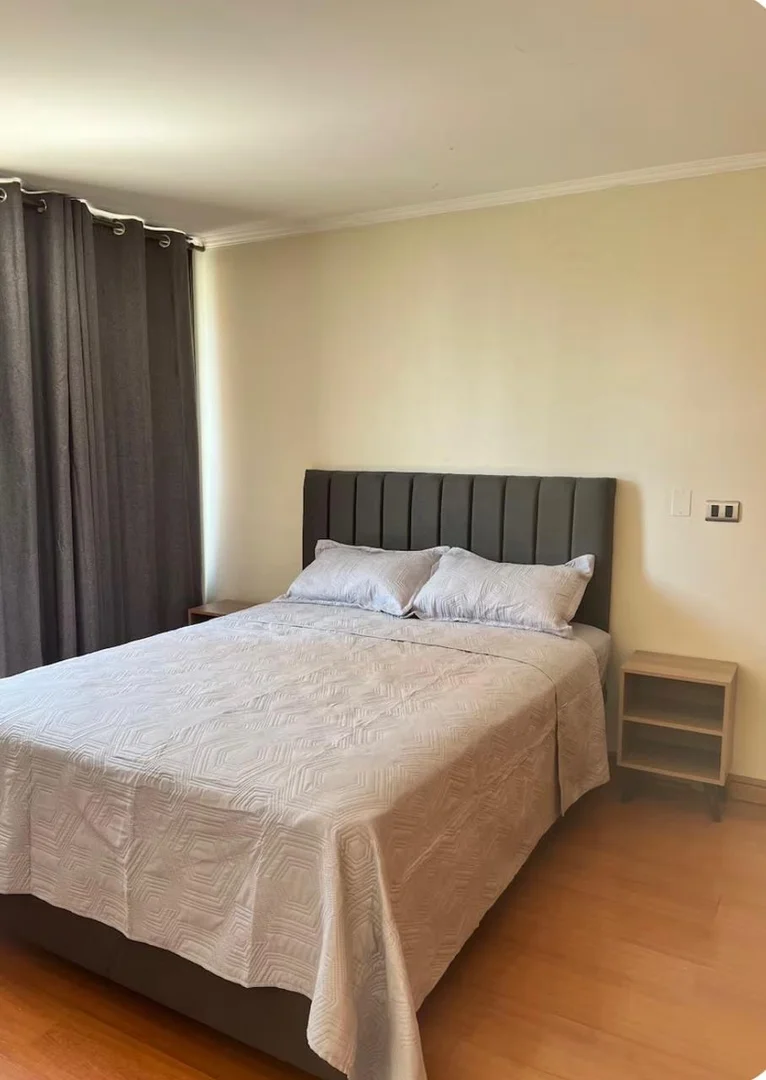 Departamento Amoblado en Providencia - foto 4
